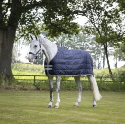 Lemieux Under Rug Arika Liner, 100 G 10 Lemieux Under Rug Arika Liner, 100 G -Equestrian Supplie Shop lm liner3 lr processed 1280x1280