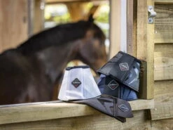 Lemieux ProShell Over Reach Boots -Equestrian Supplie Shop lm proshelloverreachgroup1 lr processedXMkai96msxYLq 1280x1280