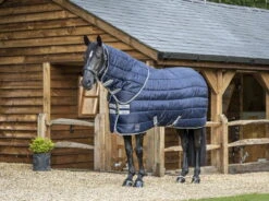 Lemieux Stable Rug Arika Stable-Tek, 350 G 10 Lemieux Stable Rug Arika Stable-Tek, 350 G -Equestrian Supplie Shop lm stabletek2 lr processed 1280x1280