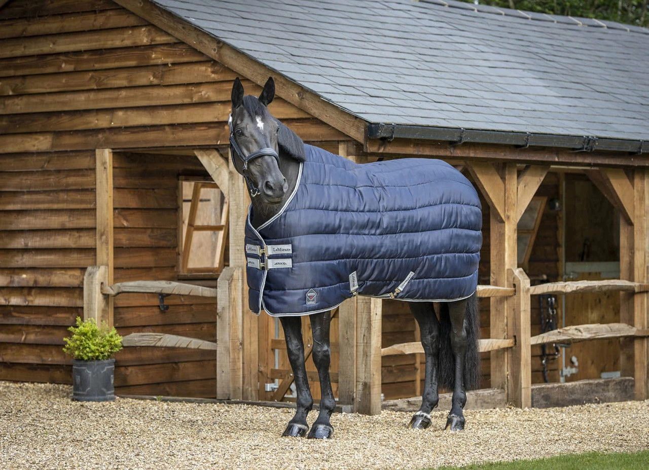 Lemieux Stable Rug Arika Stable-Tek, 350 G 6 Lemieux Stable Rug Arika Stable-Tek, 350 G - Image 4