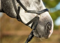Rambo Snaffle Micklem Multibridle 9 Rambo Snaffle Micklem Multibridle -Equestrian Supplie Shop multibridle III 1280x1280