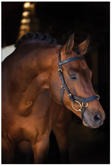 Rambo Snaffle Micklem Multibridle 4 Rambo Snaffle Micklem Multibridle - Image 2