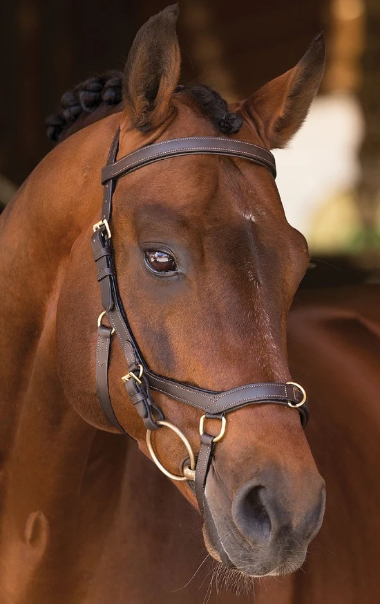 Rambo Snaffle Micklem Multibridle 3 Rambo Snaffle Micklem Multibridle