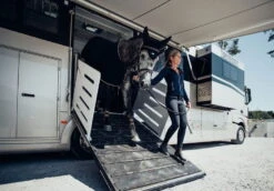 Flycap Padded -Equestrian Supplie Shop padded ear net black 768x534 1280x1280