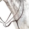 EVO Martingale D37 -Equestrian Supplie Shop prestige martingal EVO D37 1280x1280