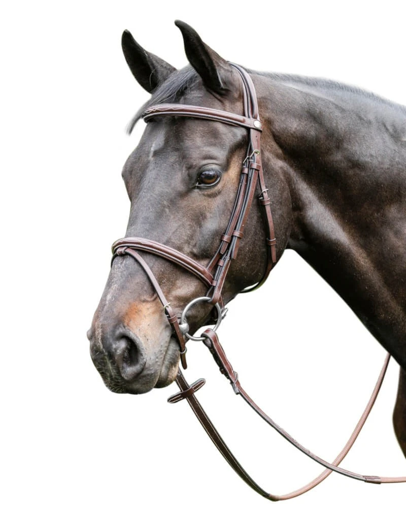 Snaffle Bridle E37 3 Snaffle Bridle E37