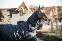 Kentucky Horsewear Turnout Rug All Weather Waterproof Classic, 0 G -Equestrian Supplie Shop processed 1of2wGlW7ARBcj 1280x1280