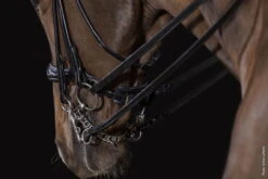 Double Bridle Kensington, Swedish Noseband, Without Reins -Equestrian Supplie Shop schockemohle sports kandare kensington schwarz02 1280x1280