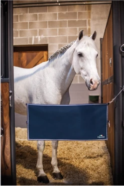 Stable Guard Pit Door Lock -Equestrian Supplie Shop tecno saddle pad bd7fa5b0 2306 4edf b671 1d83ca31f38d grande 1280x1280