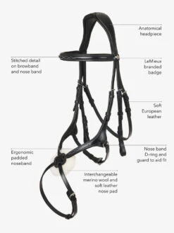 Lemieux Bridle Kudos Grackle, Mexican -Equestrian Supplie Shop website bride features grackle 1 processed 1280x1280