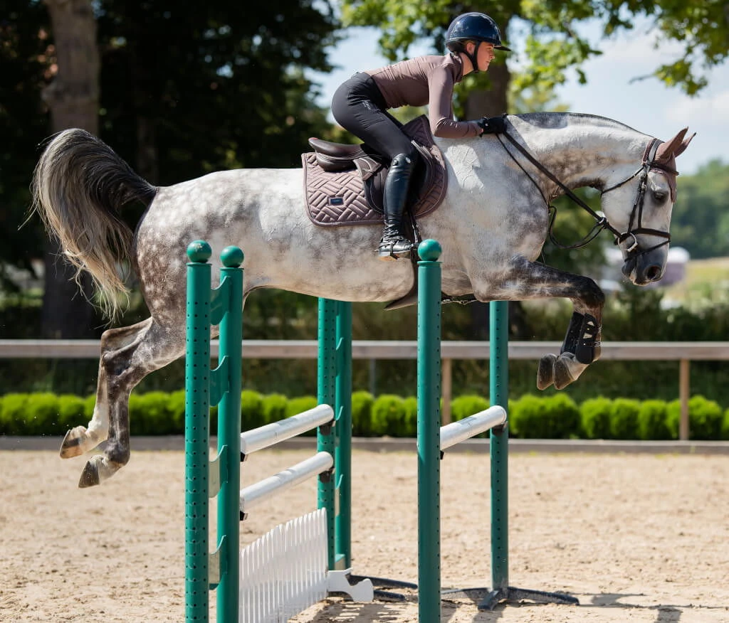 Saddle Pad Amaranth, Jumping Saddle Pad 4 Saddle Pad Amaranth, Jumping Saddle Pad - Image 2